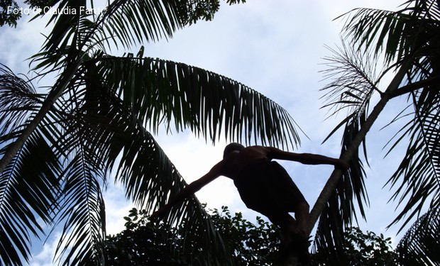 Quando è la lotta a renderci umani. La vita di un vescovo in difesa dell’Amazzonia