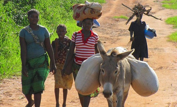 La terra, un dono per la vita. Lettera pastorale dei vescovi del Mozambico