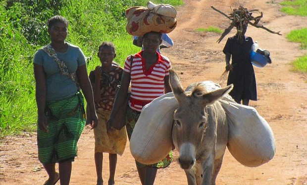 La terra, un dono per la vita.  Lettera pastorale dei vescovi del Mozambico 