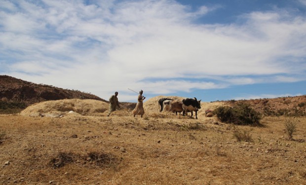 Etiopia ed Eritrea fanno la pace: nuove prospettive per il continente africano