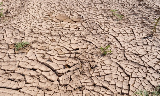 Una minaccia per il pianeta. Bolsonaro affossa la lotta contro il riscaldamento globale 