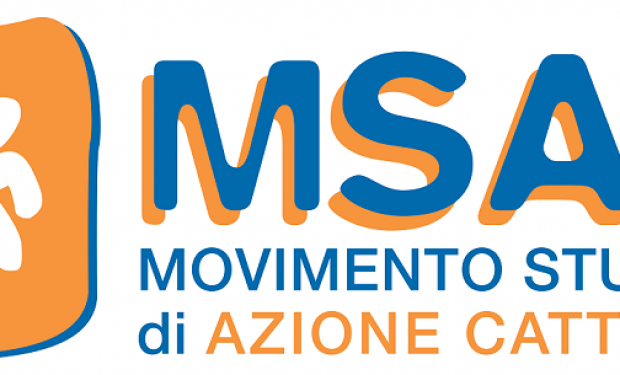 La solidarietà del MSAC alla professoressa Rosa Maria Dell’Aria