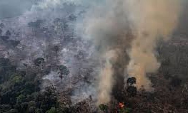 Disastro in Amazzonia. La denuncia della Repam