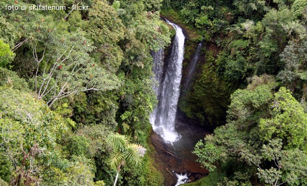 L’Amazzonia, il Sinodo e noi