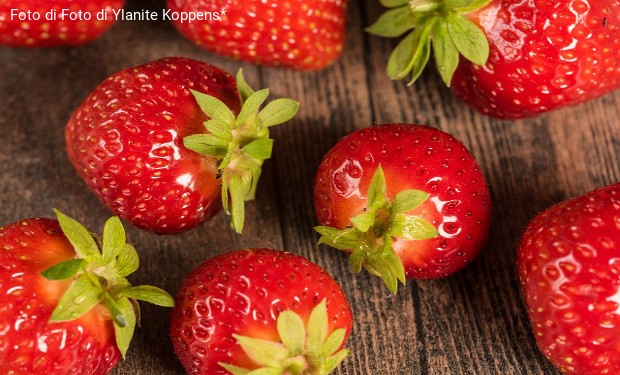 Fragole amare
