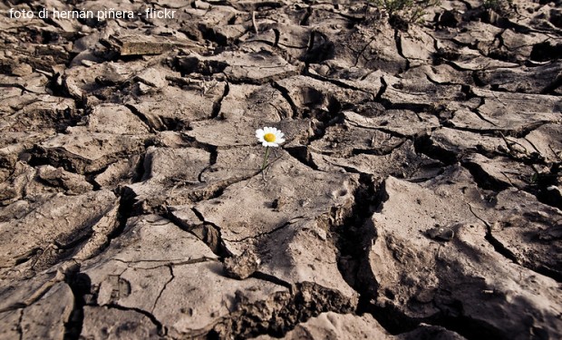 Una Costituente della Terra