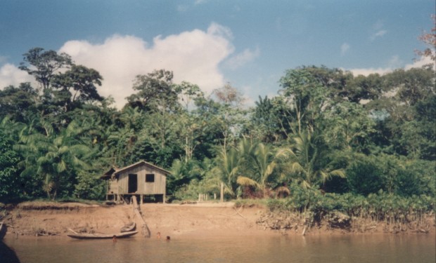 Querida amazonia: il papa «mette la testa sotto la sabbia». Il giudizio severo della teologa Simonelli