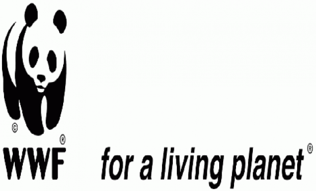 Il Wwf compie 54 anni