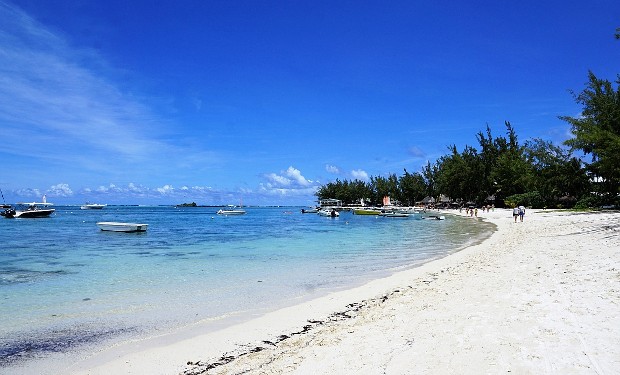 Il petrolio sta soffocando il mare di Mauritius. 