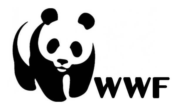 Deforestazione globale: cause, misure e proposte in uno studio del WWF