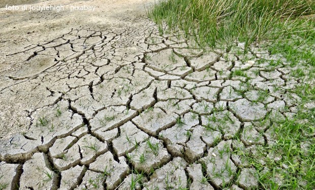 Luterani: per il clima occorre fare di più
