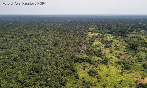 Cop26: siglato un accordo in difesa della foresta del Congo e dei suoi abitanti