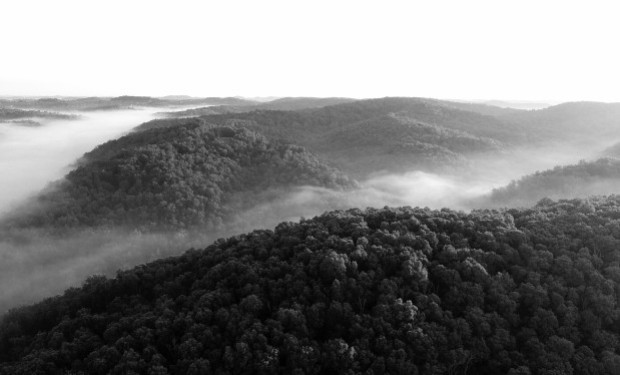José Nain: nel territorio mapuche invaso dalle imprese forestali, solo il dialogo risolverà il conflitto