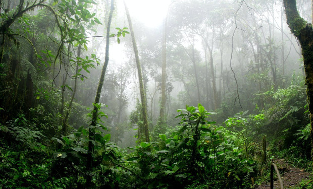 Vescovi dell’Amazzonia: è il momento della speranza!