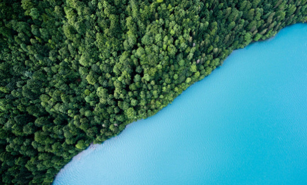 Movimenti popolari, ecologia, indigeni: in ascolto del grido dei poveri e della Terra 