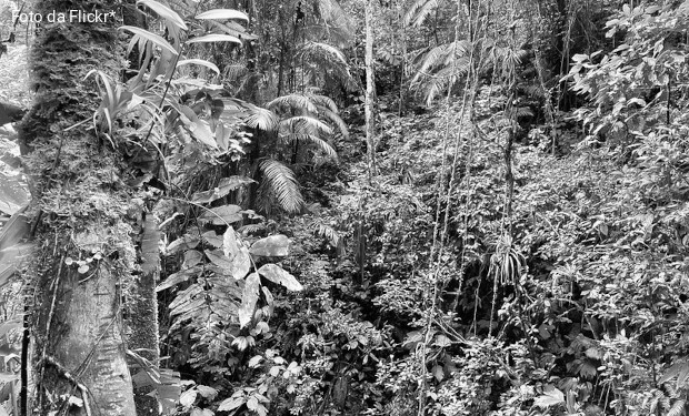 Ecuador, la maledizione del petrolio: ucciso un altro difensore dell’ambiente