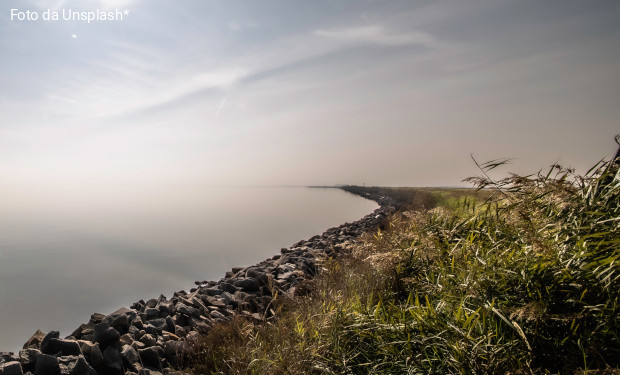 Disastro in Romagna. Ma la colpa è delle nutrie