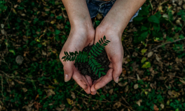 Abbiamo perso l’unità con la natura 