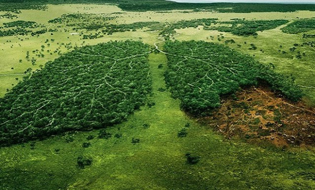 Centro di Alta Formazione Laudato si’: un anno di impegno per la conversione ecologica