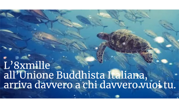 Sostenibilità ambientale e diritti umani: l'8x1000 dell'Unione Buddhista Italiana nel 2023
