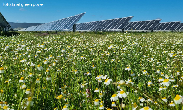 Un impianto agrivoltaico accanto alle antenne di Radio Vaticana