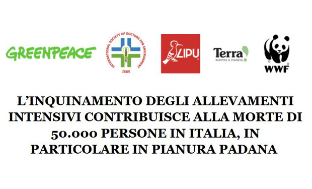 Allevamenti intensivi: un danno al pianeta e alla salute umana