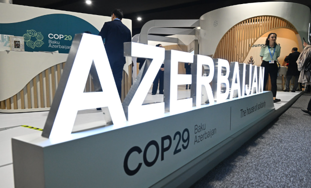 WWF sulla COP29: «Una battuta d'arresto per l'azione per il clima»