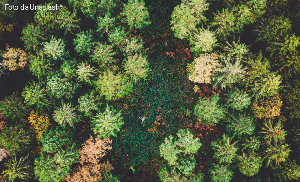 Comunità energetiche: fedi unite per l’ecologia