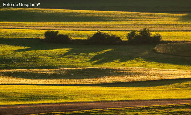 L’utopia di un’ecologia della cura