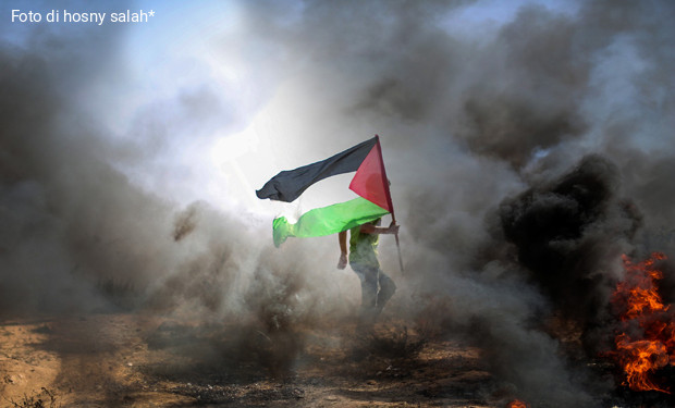 Mezzo milione di firme al governo per fermare la strage a Gaza