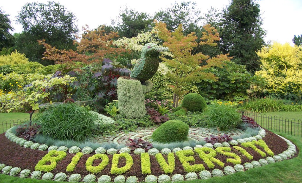 Biodiversità, II Forum nazionale a Milano