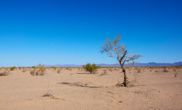 La minaccia per la natura viene dai combustibili fossili. Uno storico riconoscimento in vista della Cop30