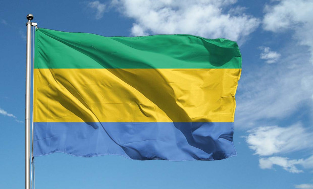 Papa Leone XIV riceve in udienza il presidente della repubblica del Gabon