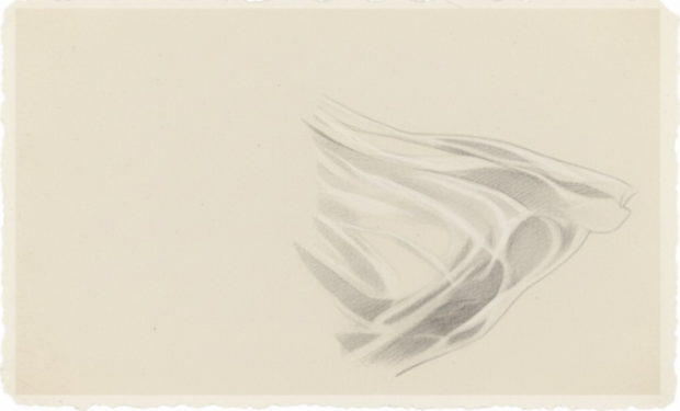 Due svelamenti (Trump e papa Leone)