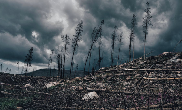 Il 2025 in Europa: da green a black in 8 mosse. Il bilancio del WWF