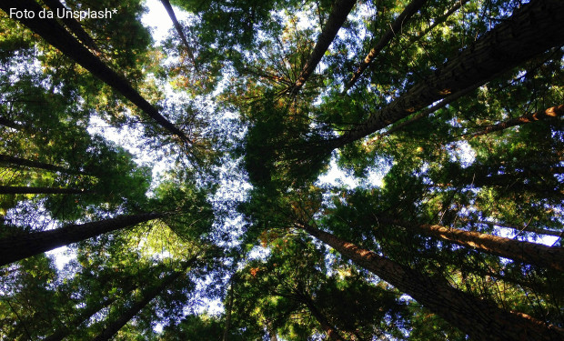 Laudato si’. Patriarcato e ambiente 