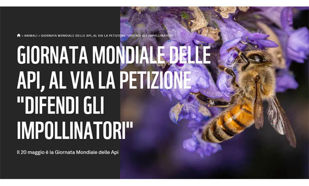 “Difendi gli impollinatori”: una petizione nella Giornata mondiale delle api