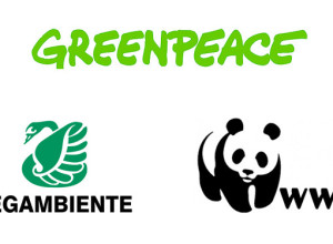 Greenpeace, Legambiente e WWF: votate chi si impegna veramente nella lotta alla crisi climatica