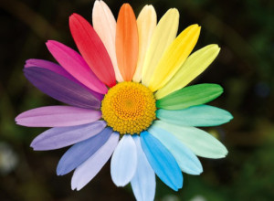 Omotransfobia: un prete palermitano apre ai matrimoni gay