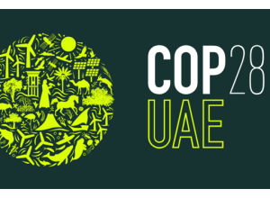 Clima: il tempo della responsabilità. Le richieste del WWF alla Cop28