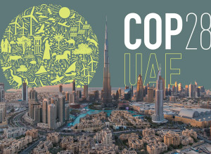 Niente Cop28 per papa Francesco: i medici consigliano riposo