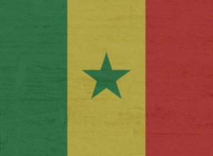 Elezioni in Senegal: una democrazia in buona salute, un futuro incerto