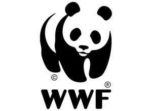 Ritardi sulla transizione, autonomia e grandi opere: anche il WWF a Napoli con "La Via Maestra"