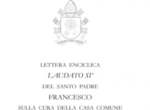 Papa Leone XIV: promuovere lo sviluppo sostenibile e la cura della casa comune