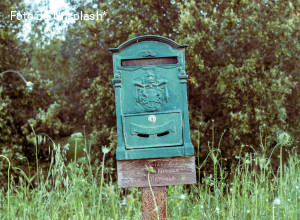 Caro Padre Raffaele Nogaro... 