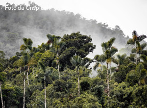 Ingiustizia climatica: verso la Cop30, un appello a tagliare le emissioni dei paperoni