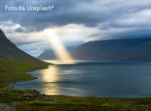 Dio e le rane. Chi ha creato chi? 