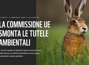 Protezione della natura: l’Europa smarrisce la via