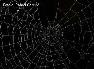 Che cos'è l'"emprise"?