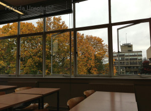 Perdere il lavoro per la vita privata nel 2025 